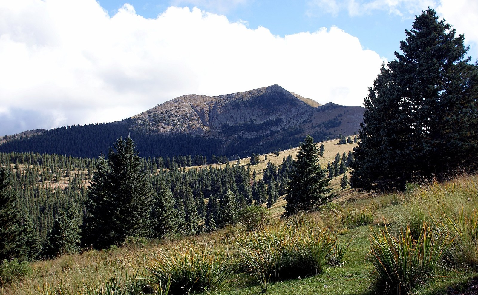 Sierra Blanca mountain landscape