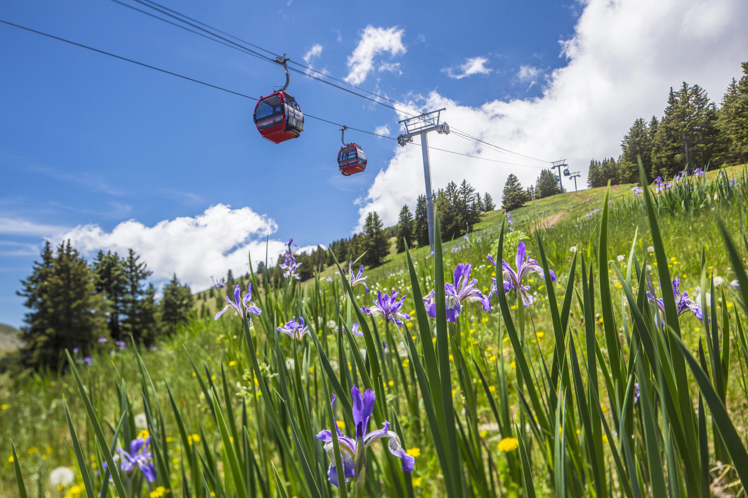 Ski Apache gondola